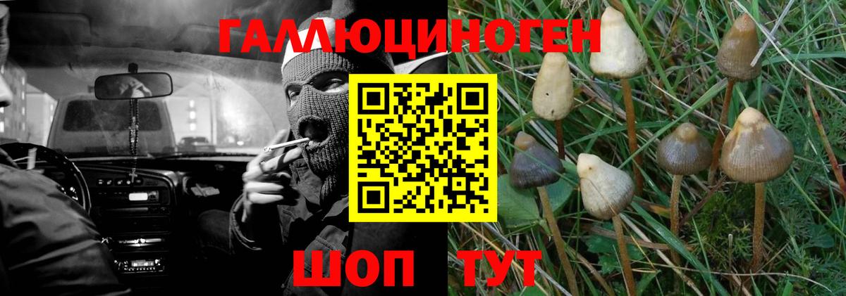 Галлюциногенные грибы Psilocybine cubensis  Вход с VPN  закладки  Галлюциногенные грибы Psilocybe  Городец 